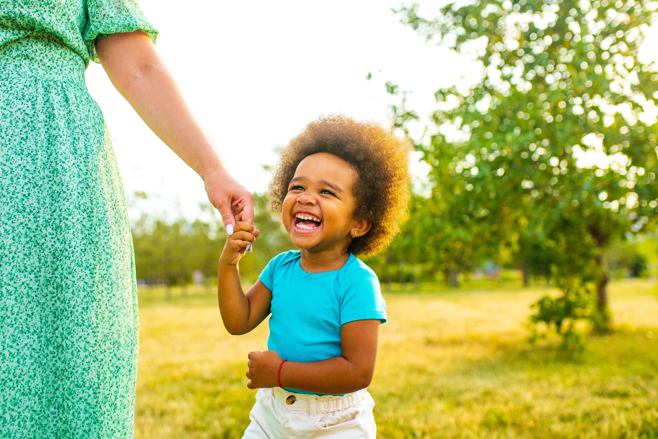 Paternity Fraud in West Palm Beach within Florida Family Law 1 Paternity Fraud